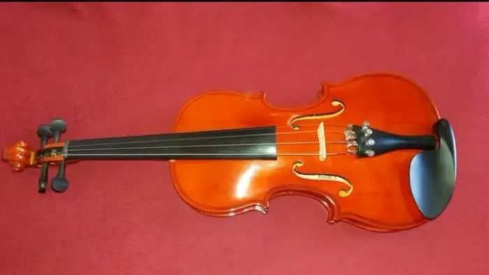 VIOLINO MICHEL 3/4 COM ESTOJO LUXO 
