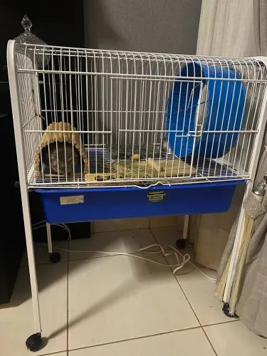 Gaiola para roedores de pequeno e medio porte