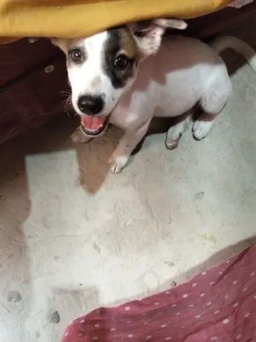 Doação