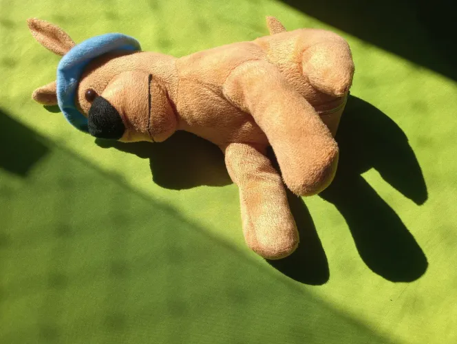 Pelúcia médio conservado