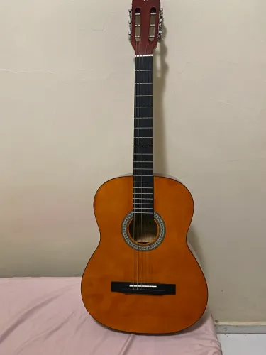 Vendo Violão Gianinni 