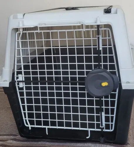 Caixa de pets para transporte
