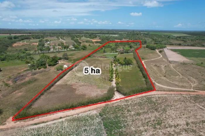 Chacara a venda completa e produtiva em Sao jose de mipibu