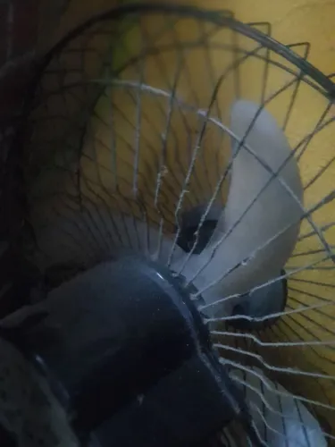 Ventilador de parede funcionando está sem o regulador de velocidade