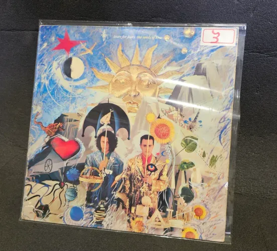 Disco de vinil (LP) Tears for Fears - The seeds of love