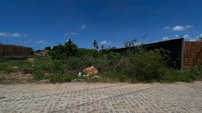 Terreno 45MIL