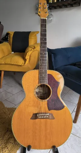Violão Takamine japonês EF450