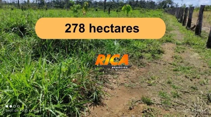 Fazenda à venda, 278 Hectares por R$ 1.950.000 - Área rural de Manicoré - Manicoré/AM