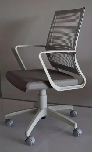 MESA