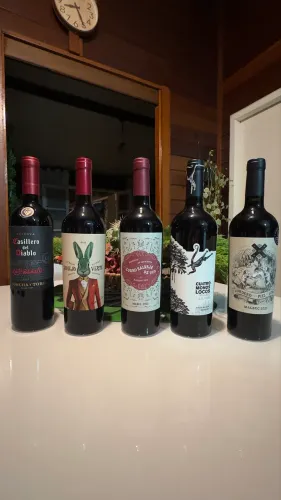 Vinhos importados originais 