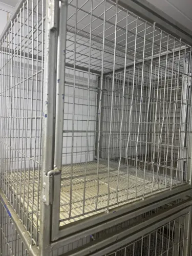 Gaiolas Pet Shop