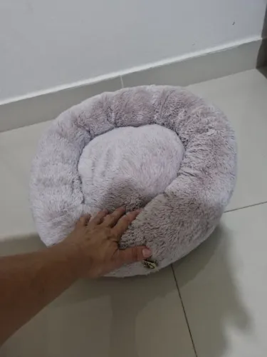 Cama gato