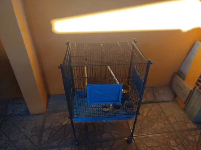 Gaiola para colapsita