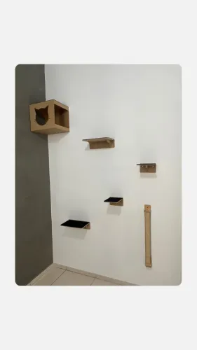 Playground nicho para gato