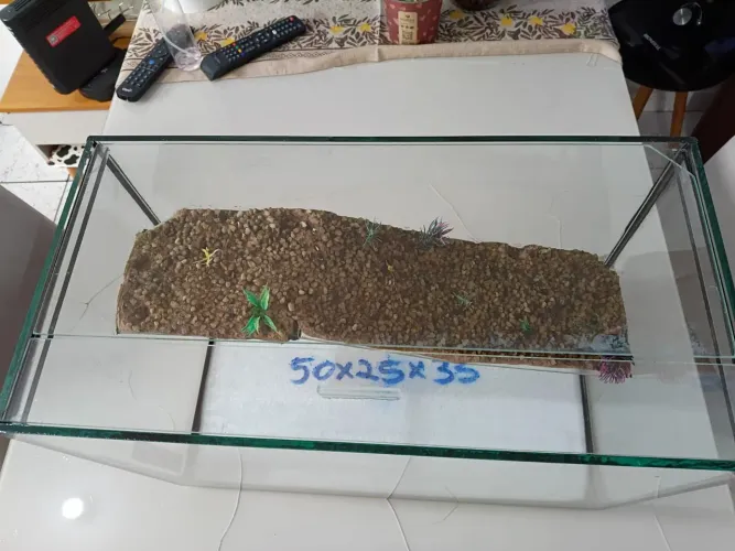 Terrário para tartarugas