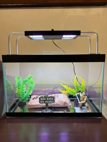 Aquário completo 20L