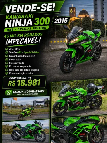 Kawasaki Ninja 300 Special Edition