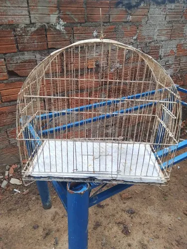 Vendo gaiola média de ferro em perfeito estado.