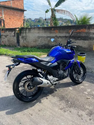 Fz15