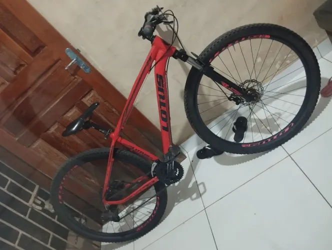 Bicicleta