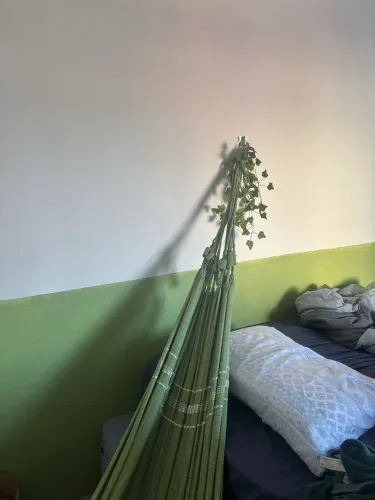 Rede de descanso verde + ganchos para parede