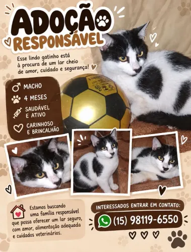 Adoçao responsável