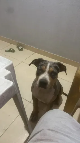 Pit monster