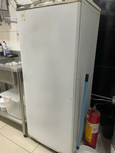 Freezer vertical 110v
