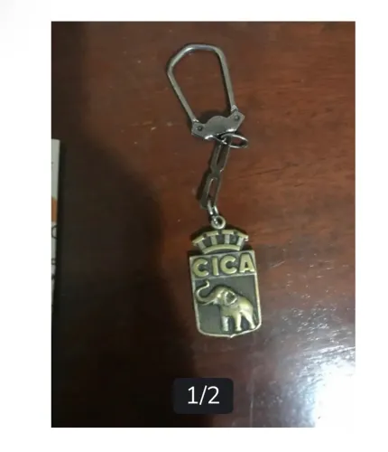 Chaveiro cica 