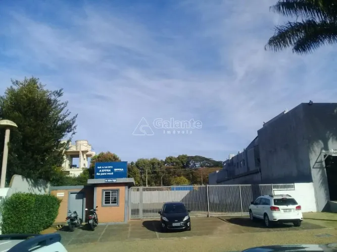 terreno - Jardim Conceição (Sousas) - Campinas