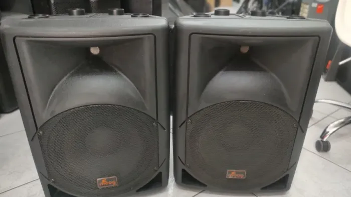 PAR DE CAIXA ATIVO E PASSIVO LP300 12 POLEGADAS MOUG OTIMO ESTADO PERFEITO ESTAD