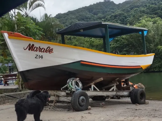 Barco MWM 4c - reversão ZF