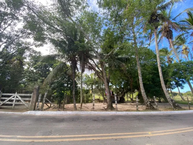 Área à venda, 17 m² por R$ 2.500.000,00 - Virgem Santa - Macaé/RJ