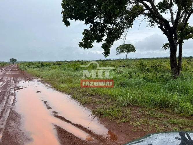 Fazenda 172 Alqueires (832,48 Hectares) Silvanópolis - TO
