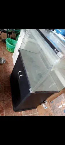 Aquário USADO
