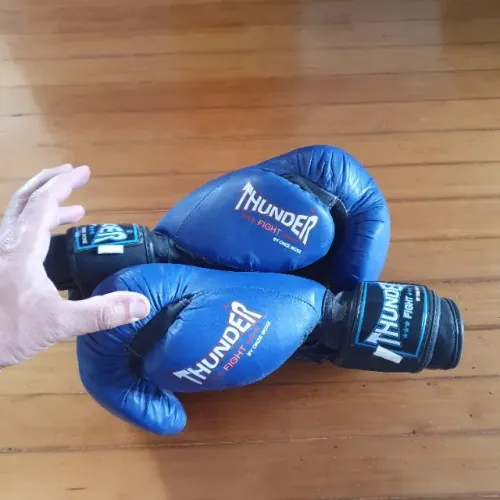 Luva Profissional Thunder Fight / Pulser 14oz