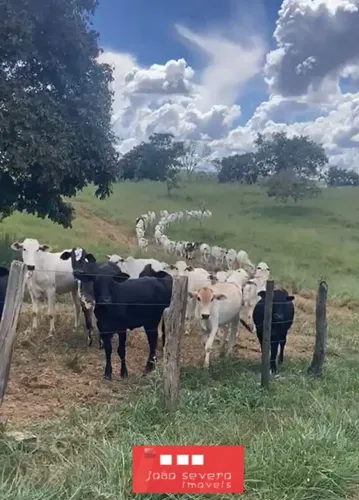 Fazenda para Venda em Santa Cruz de Goiás