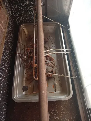 Assadeira de frango 