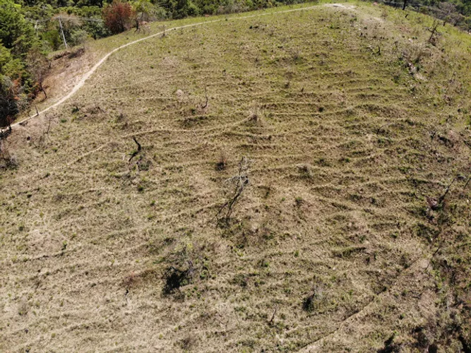 Área à Venda na Região da Pedra do Fogo - Campos do Jordão/SP