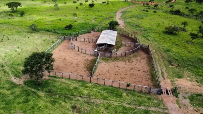 Venda fazenda Cocalzinho de Goiás 813 hectares dupla aptidão formada escriturada