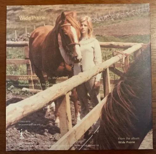 Paul McCartney / Linda McCartney - Single Raro Wide Prairie