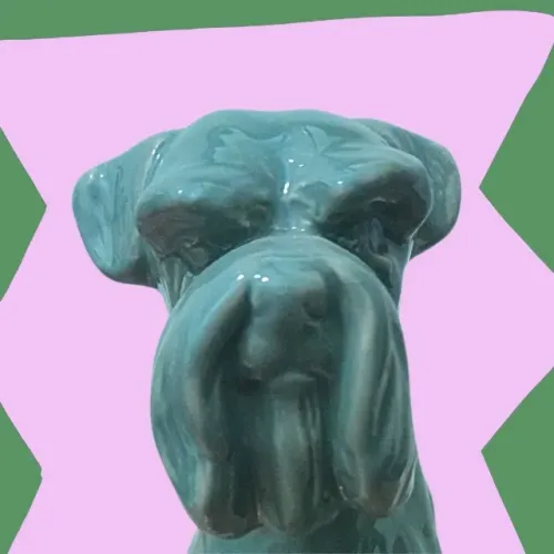 Belíssima porcelana de Schnauzer cachorro