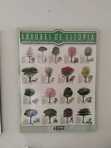 Dois pôster - Árvores e Palmeiras de Vitória