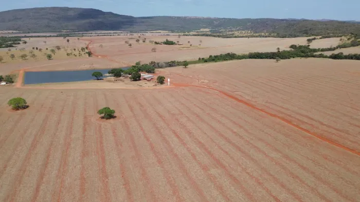 Fazenda de 83 alq em Israelandia-GO