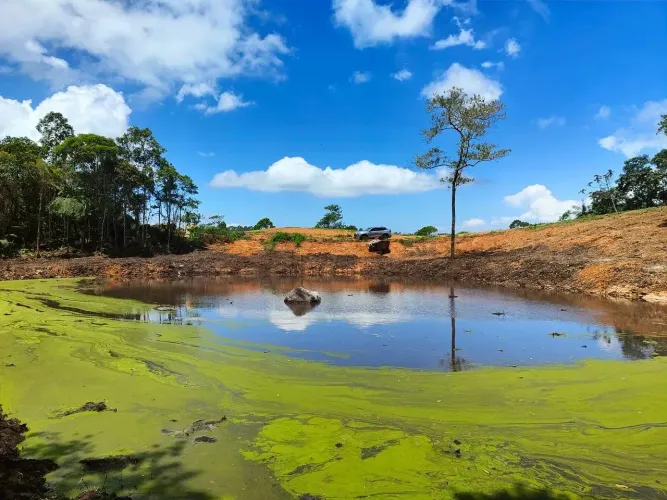 Fazenda/Sítio/Chácara para venda tem 20000 metros quadrados