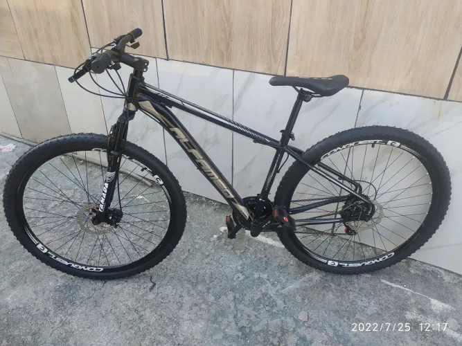 Bicicleta aro 29 alfamec 21v