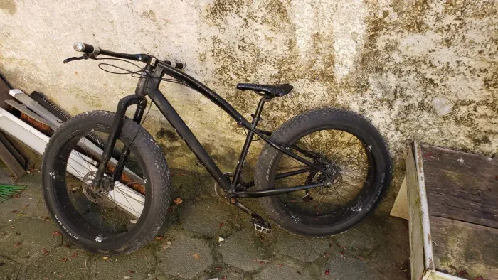 Fat bike
