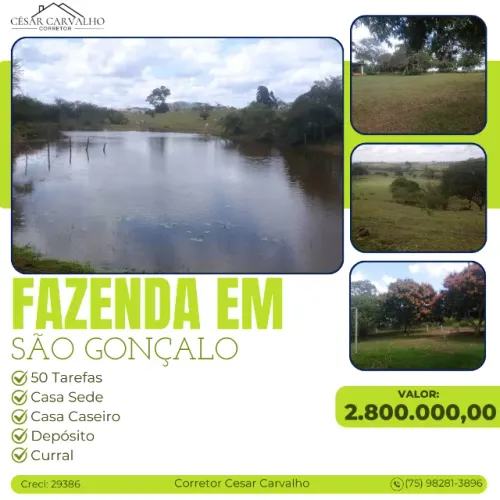 FAZENDA EM SÃO GONÇALO - 50 TAREFAS