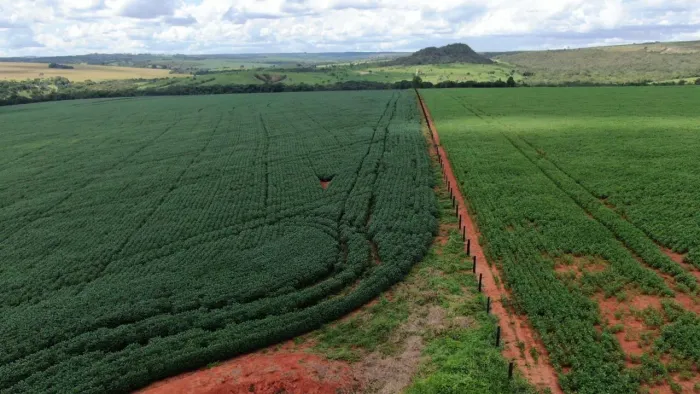 Fazenda em lavoura 41 alqueires (200 hectares)