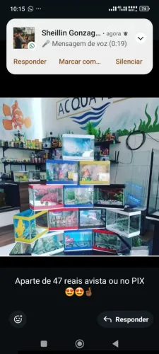 Aquário novo OK